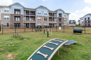 Paw park